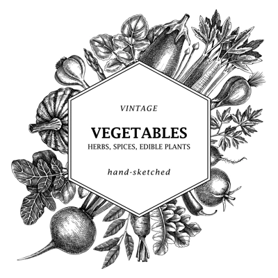 Hand-sketched Vegetable frame design. Hand-drawn tomatoes, squashes, peppers, potatoes, asparagus and other vegetables card. Healthy food template for menu, recipe, restaurant, packaging